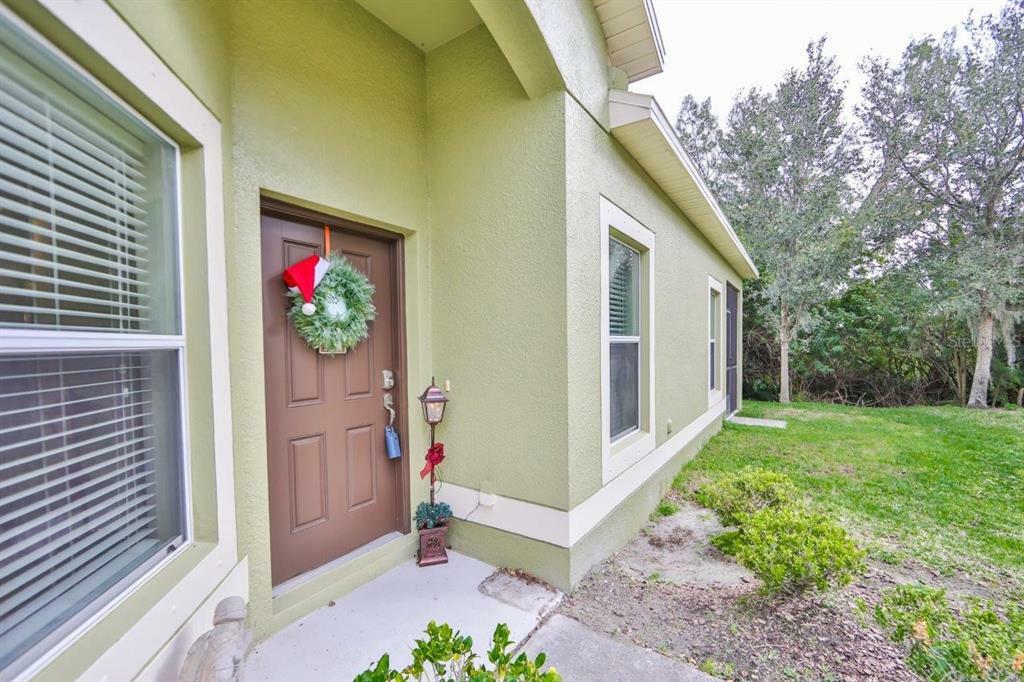 Property Photo:  1703 Trailwater Street  FL 33570 