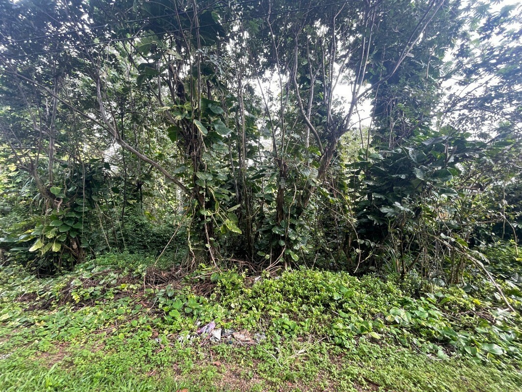 Property Photo:  N Ono St  HI 96778 