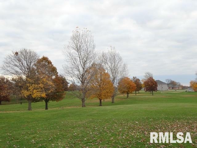 Lot 86 N Hurff Drive  Elmwood IL 61529 photo