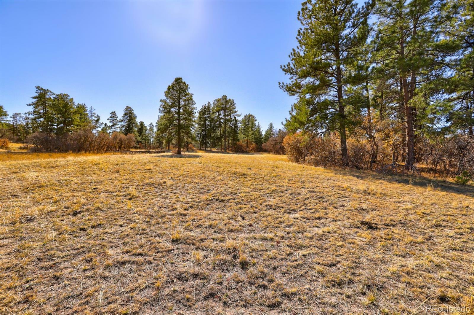 Property Photo: 1575 Arrowpoint Court CO 80116
