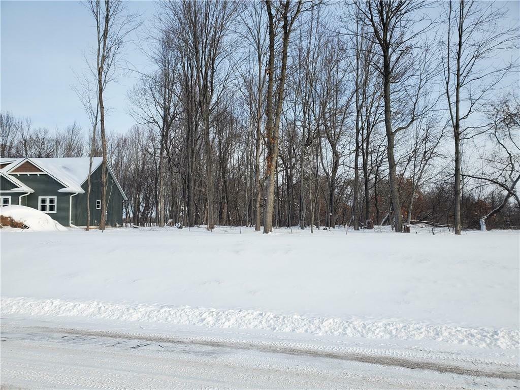 Property Photo: Lot 4 Cottonwood Circle WI 54701