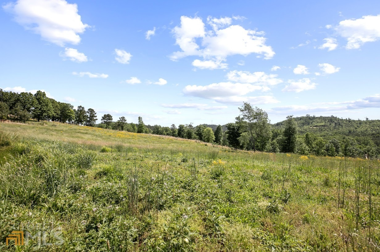 Property Photo: 0 Pleasant Acres Trail AL 36272