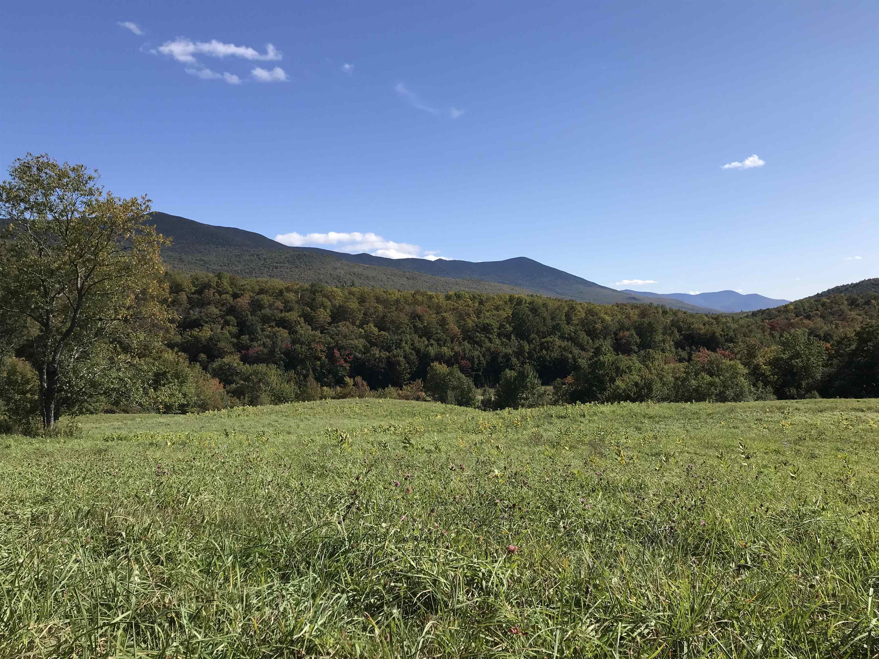 Property Photo:  Lot 7 Vt Route 17  VT 05487 