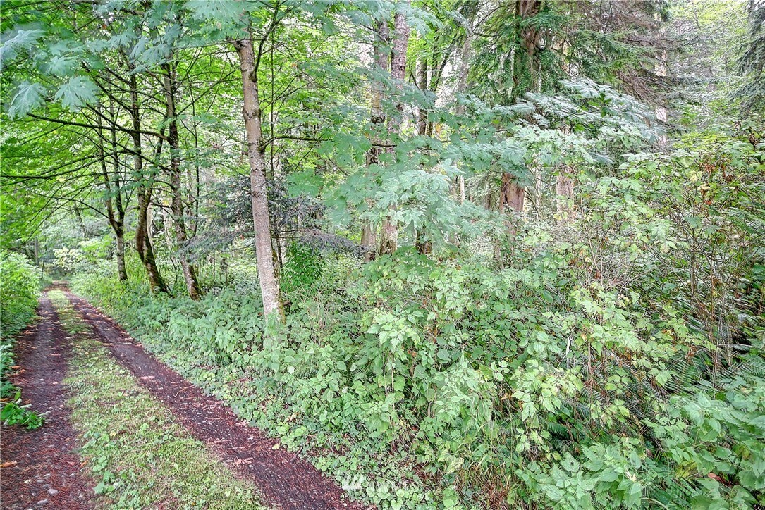 Property Photo: 0 Hagen Road WA 98282
