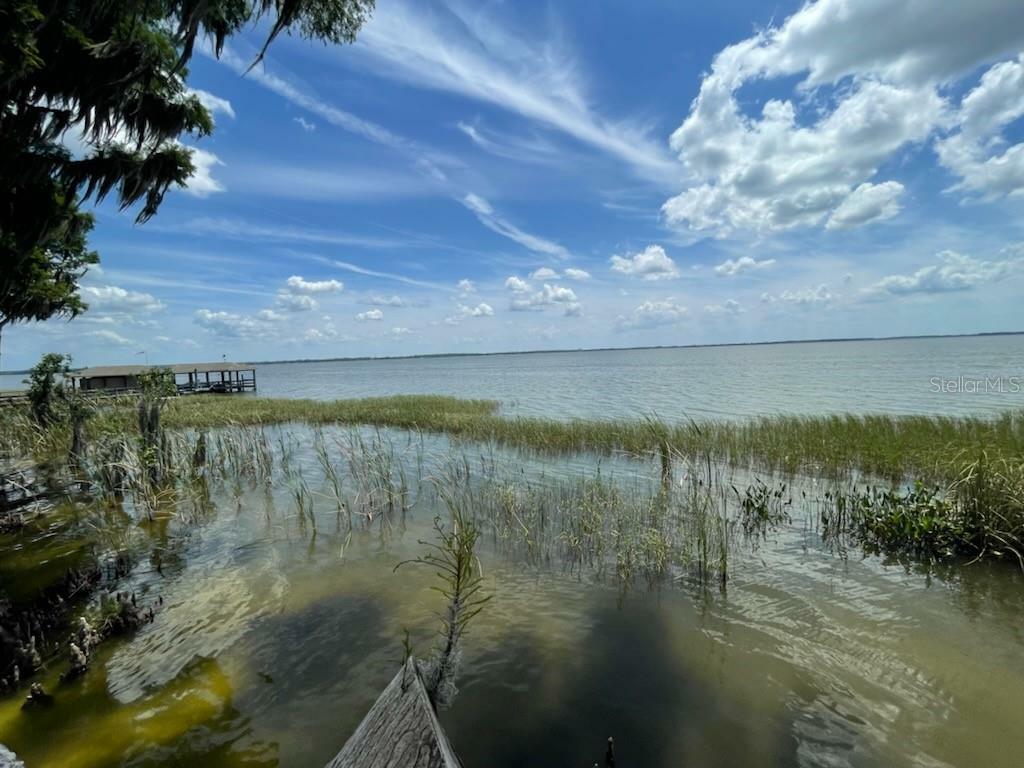 Property Photo:  Indian Trail  FL 32726 