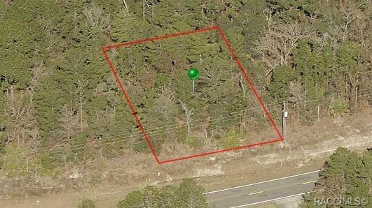 6309 W Oak Park Boulevard  Homosassa FL 34446 photo