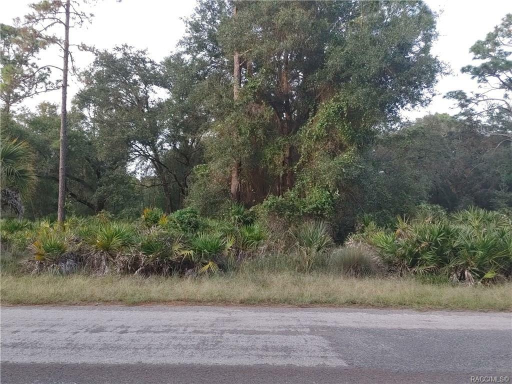 11324 W Dragonhead Drive  Crystal River FL 34428 photo