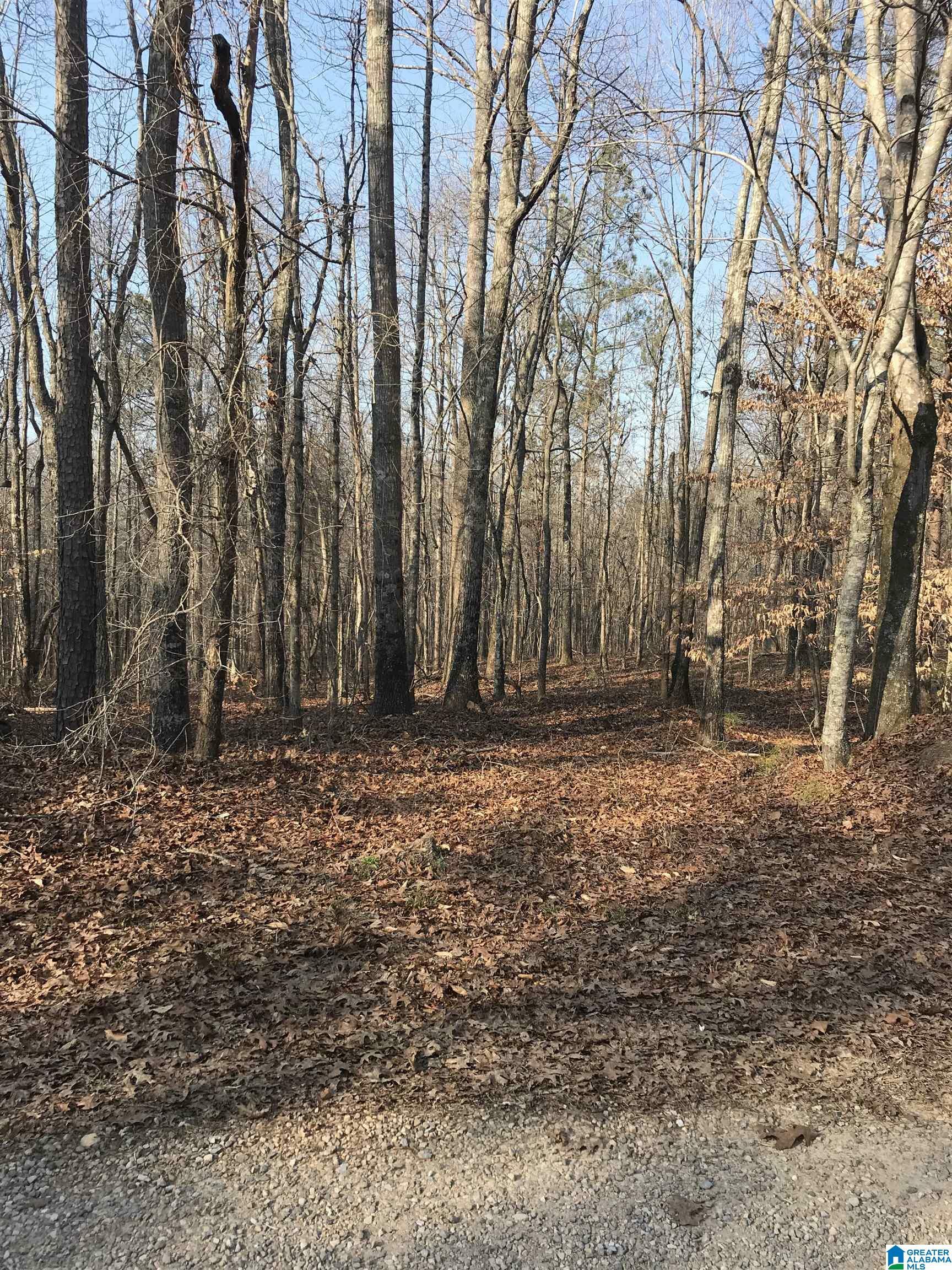 Property Photo:  Lot 7 And 8 County Road 928 7 &Amp 8  AL 36258 