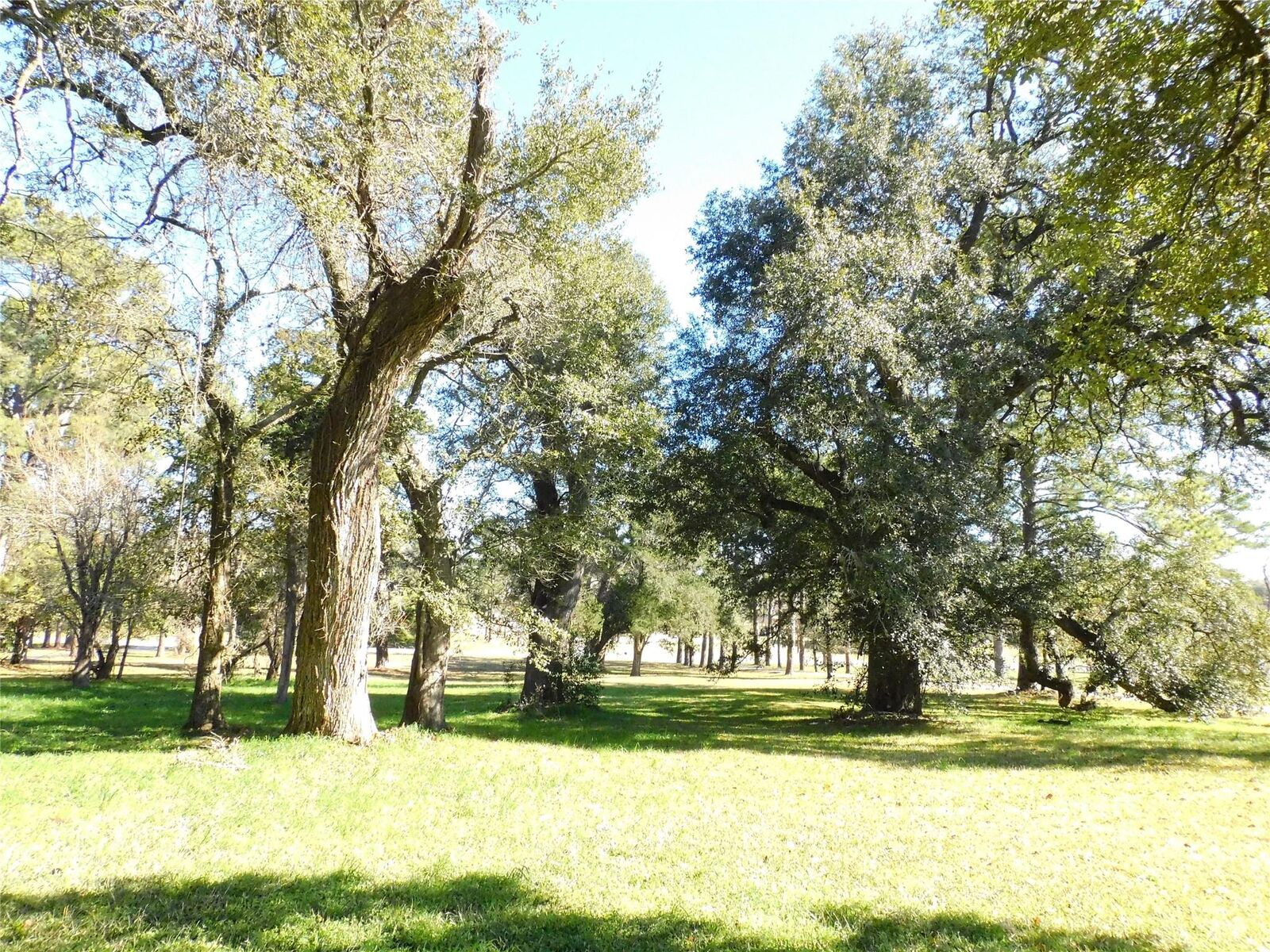 Property Photo:  2408 Gun And Rod Road  TX 77833 