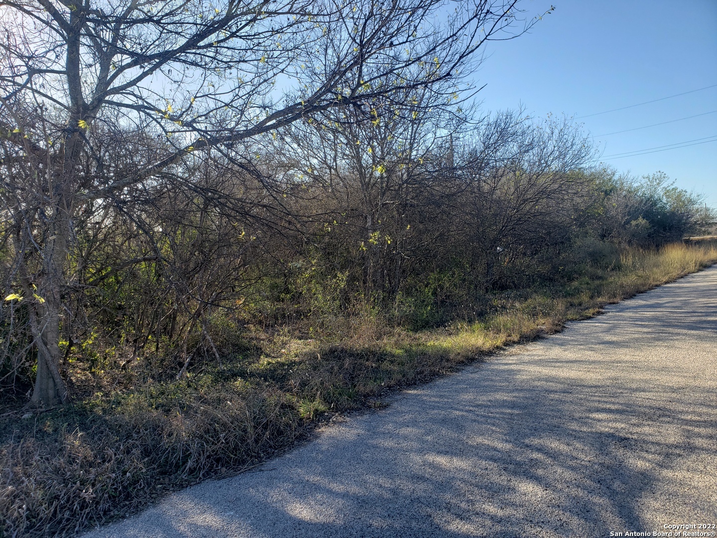 Property Photo:  0 County Road 459  TX 78861 