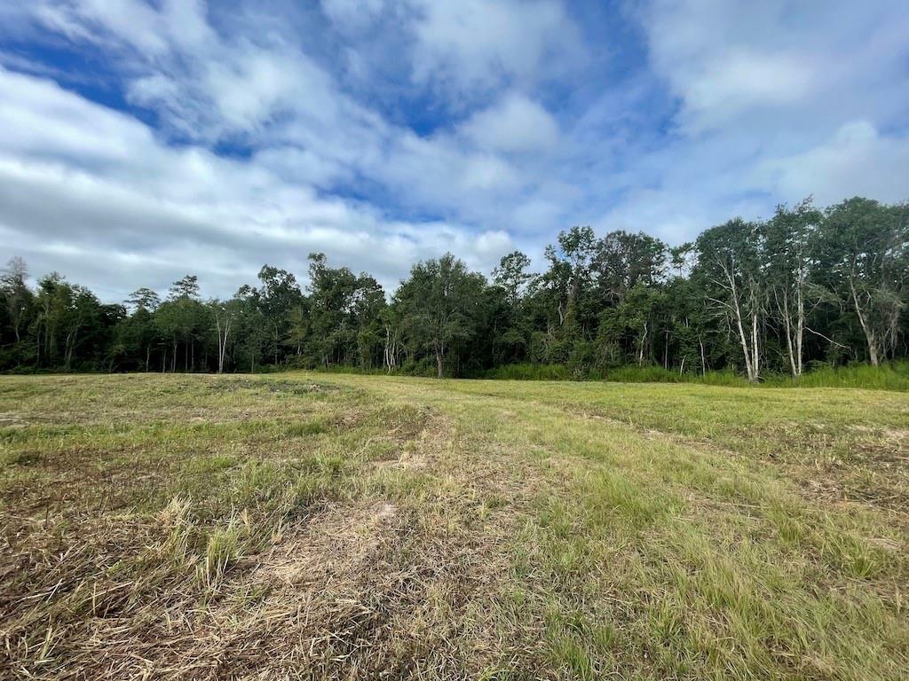 Property Photo:  Hickory Flat Road  LA 70648 