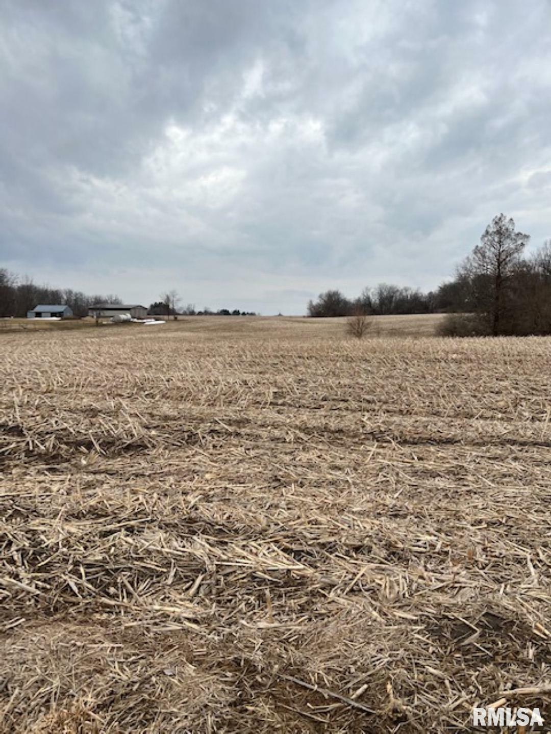 Property Photo:  0 County Road 800 N  IL 61530 
