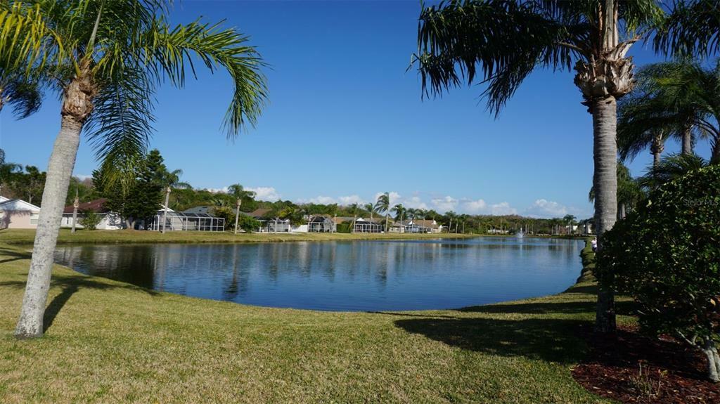 Property Photo:  355 Fountainview Circle  FL 34677 