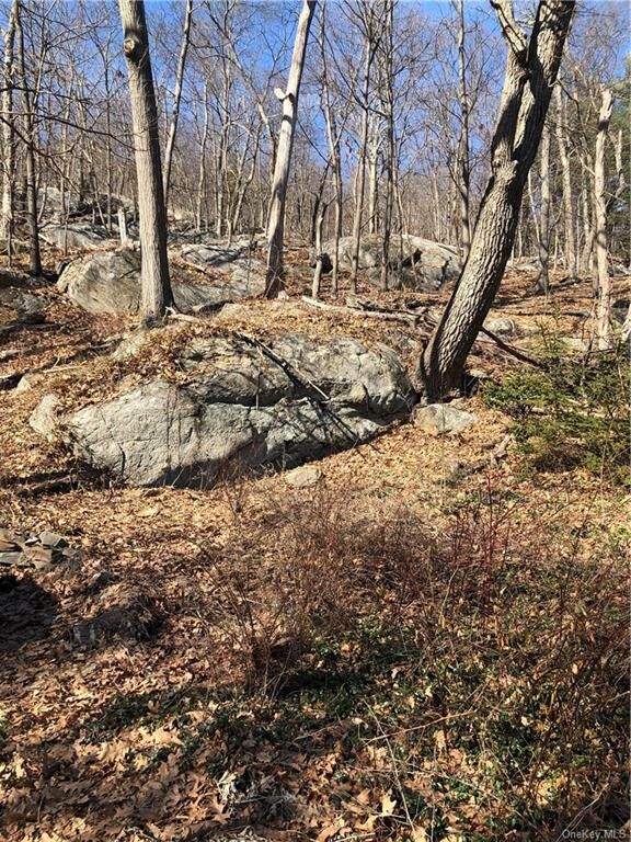 Property Photo:  73 Blueberry Hill  NY 10925