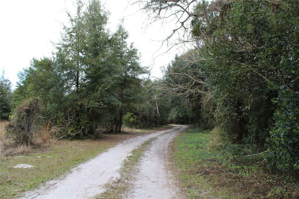 Property Photo:  N Ridgewood Avenue  FL 32720 