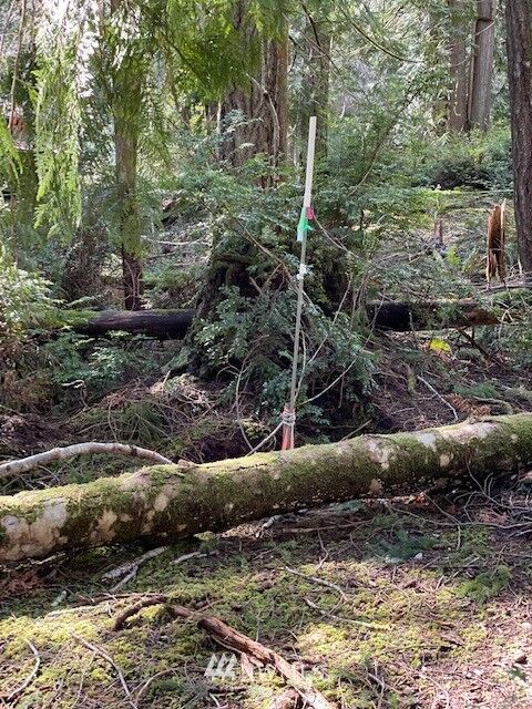 Property Photo: 149 E Nantucket Road WA 98584