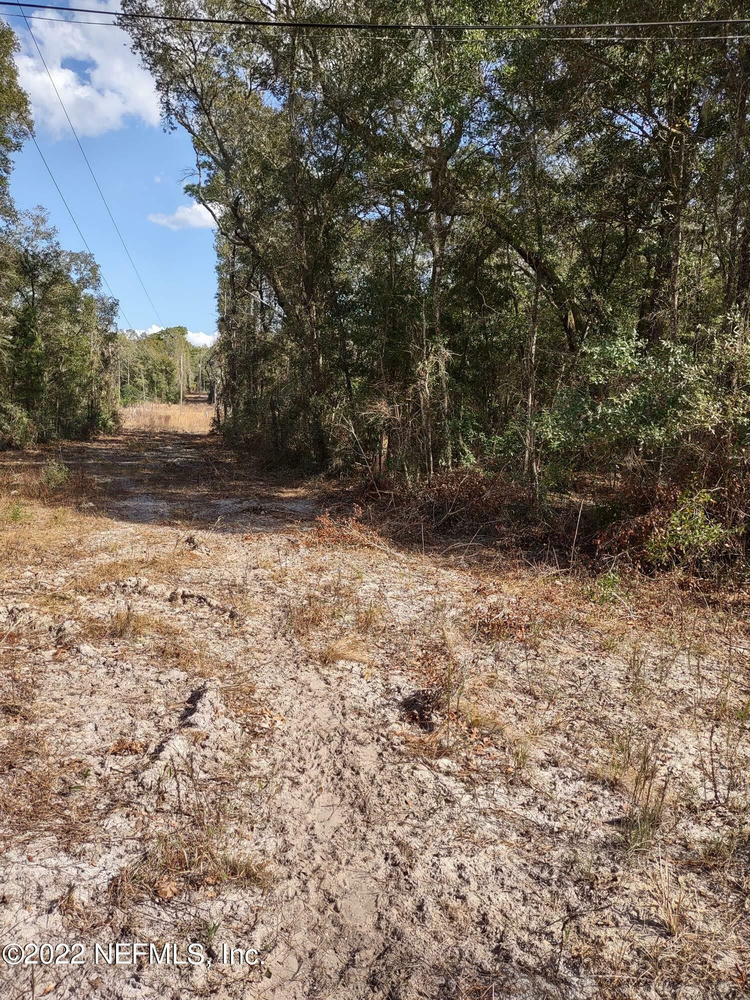 Property Photo:  0 Beecher Springs Road  FL 32181 