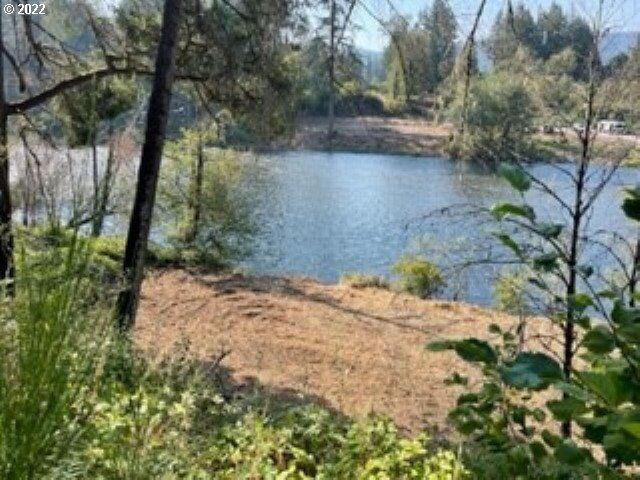 Property Photo:  25375 Santiam Park Rd  OR 97358 