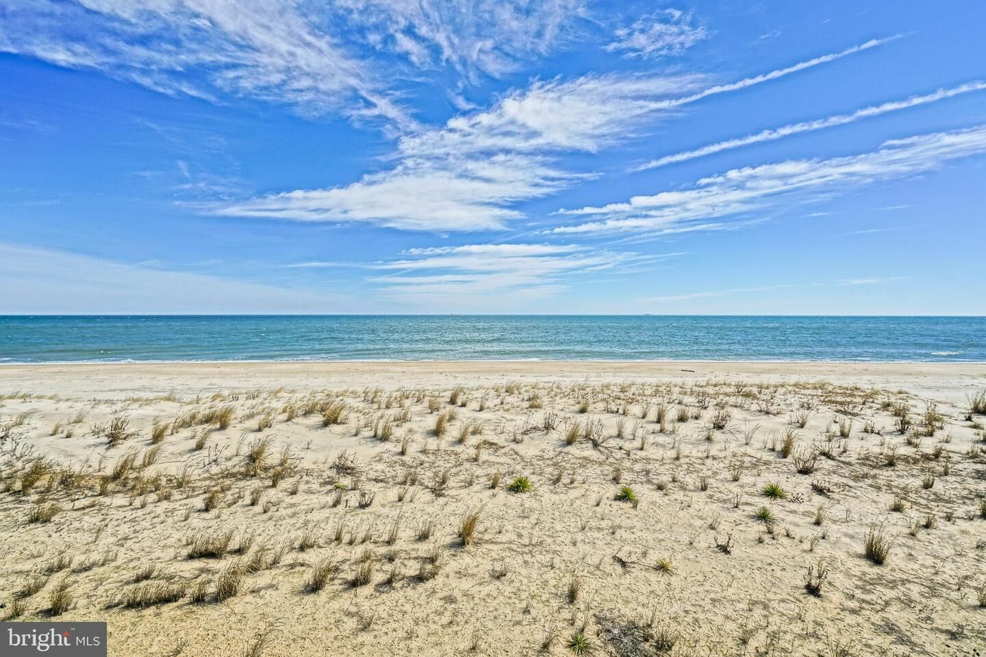 Property Photo:  1 Swedes Street 4  DE 19971 