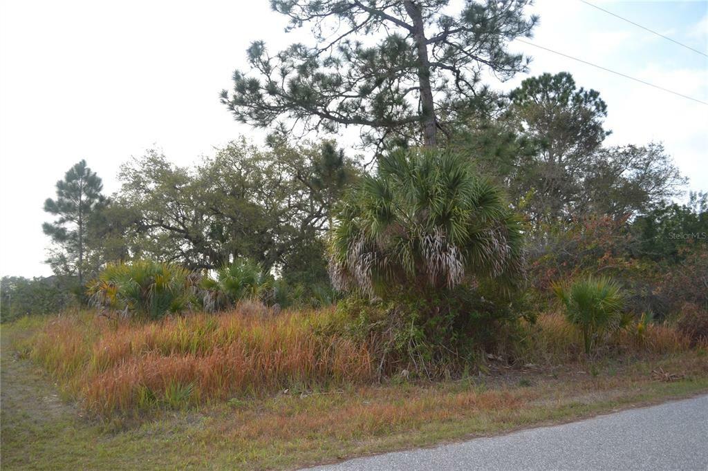 Property Photo:  3400 Como Street  FL 33948 