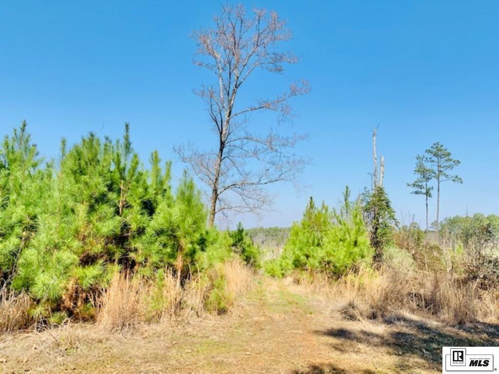 Property Photo:  00 Highway 2  LA 71241 