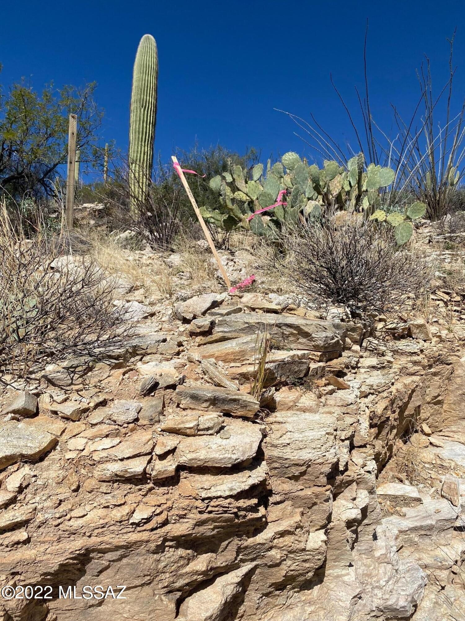 Property Photo:  5233 N Wentworth Road  AZ 85749 