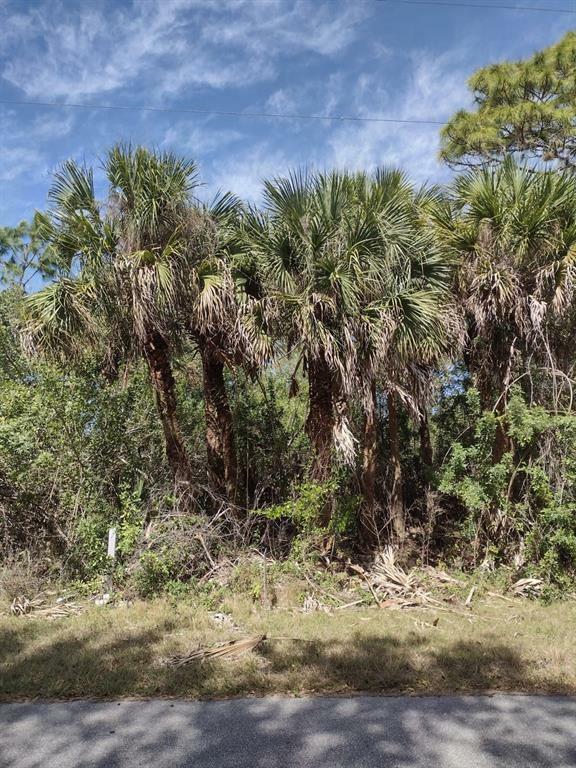 Property Photo:  449 Cheshire Street  FL 33953 