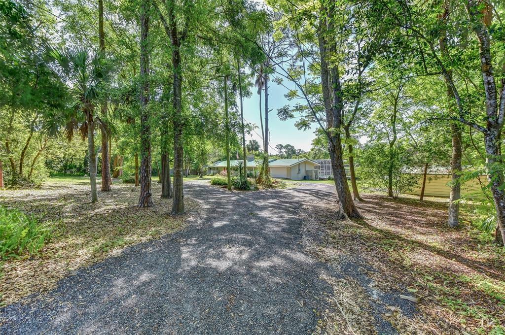 Property Photo:  211 Angeles Road  FL 32713 