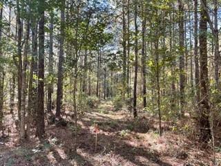 Property Photo:  Lot 3 Big Lake Road  LA 71360 