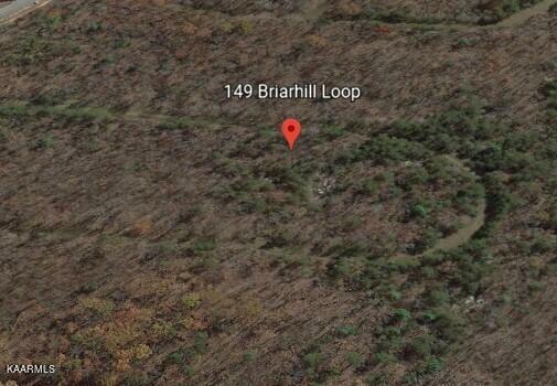 Property Photo: 149 Briarhill Loop TN 38558