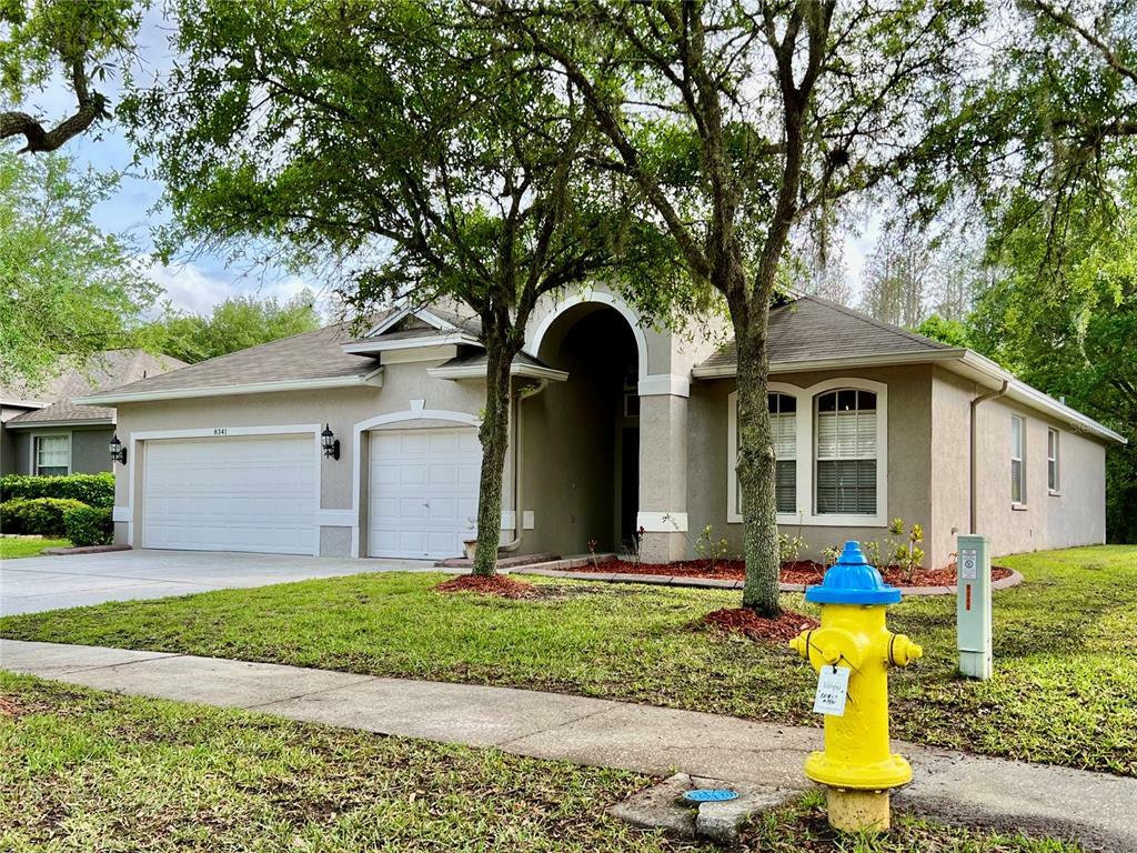 Property Photo:  8341 Torrington Avenue  FL 33647 