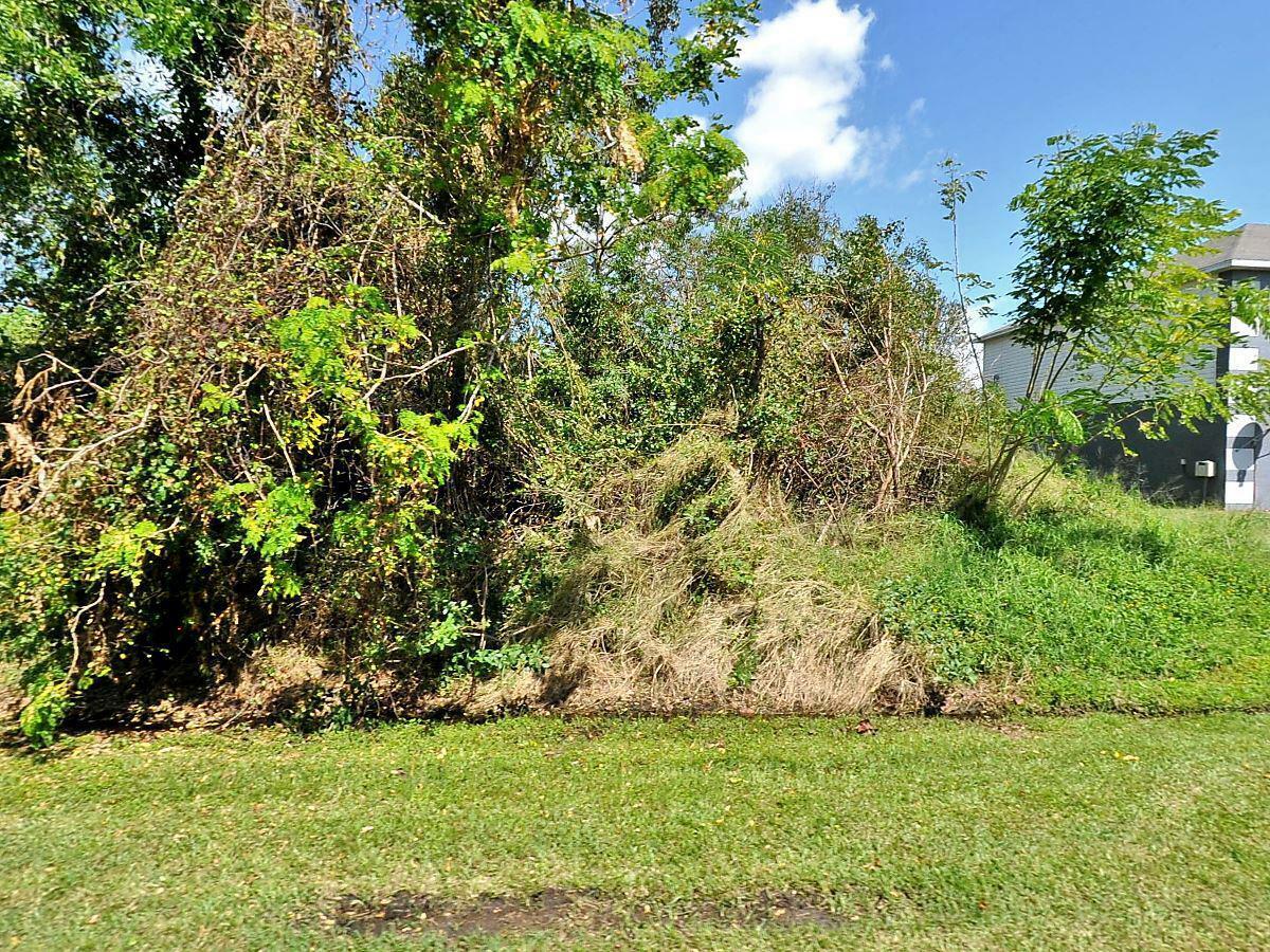 Property Photo:  295 SW Grove Avenue  FL 34983 