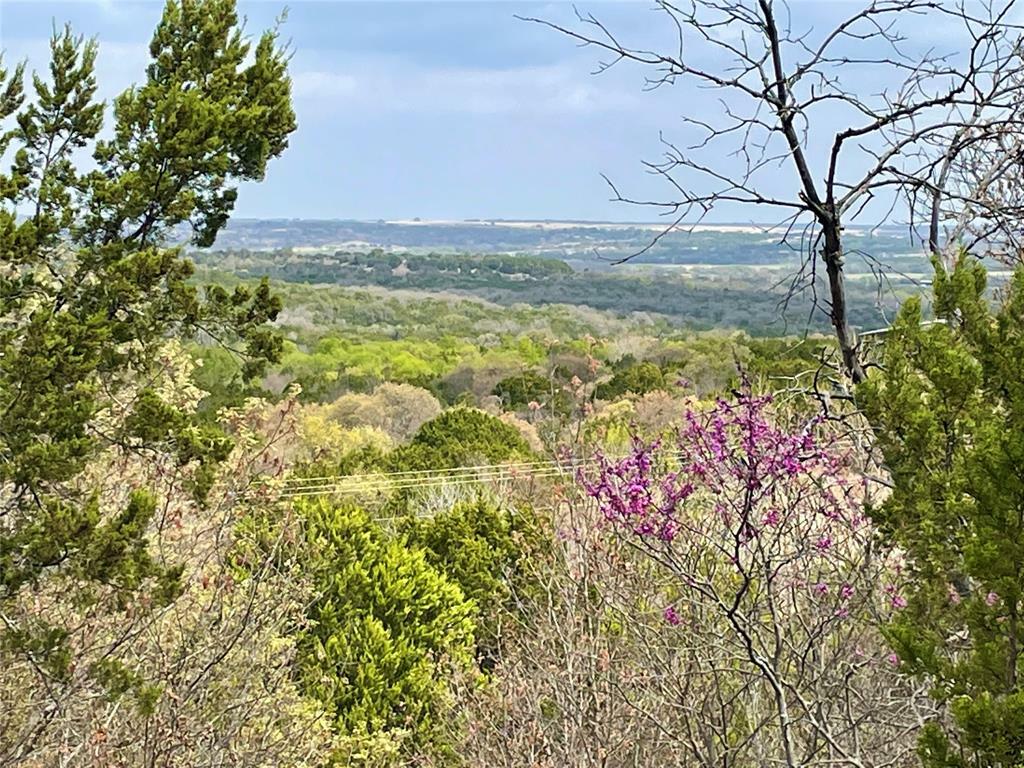 Property Photo:  5210 Skyline Drive  TX 76433 