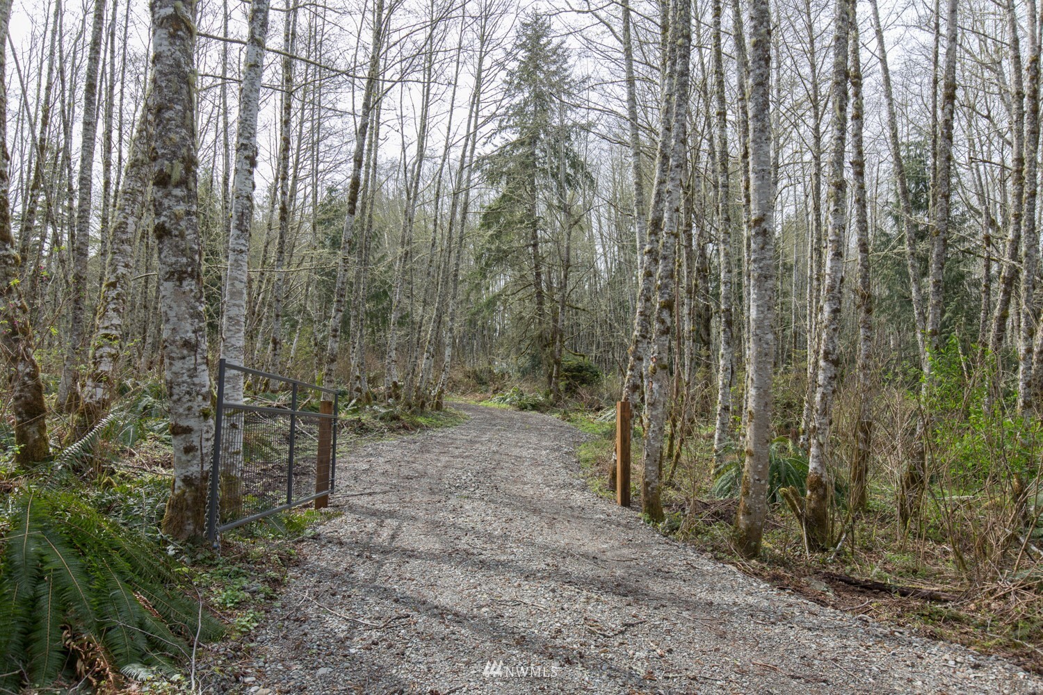 Property Photo: 283 Springhaven Lane WA 98363