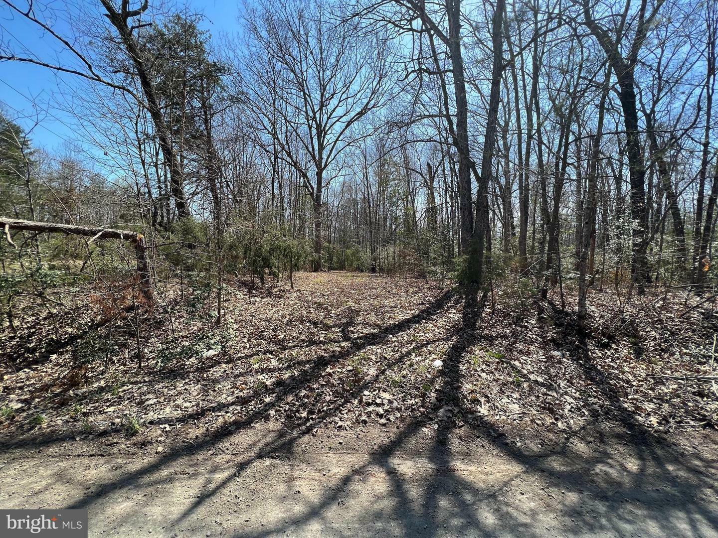 Property Photo:  14204 Cedar Plantation Road  VA 22551 