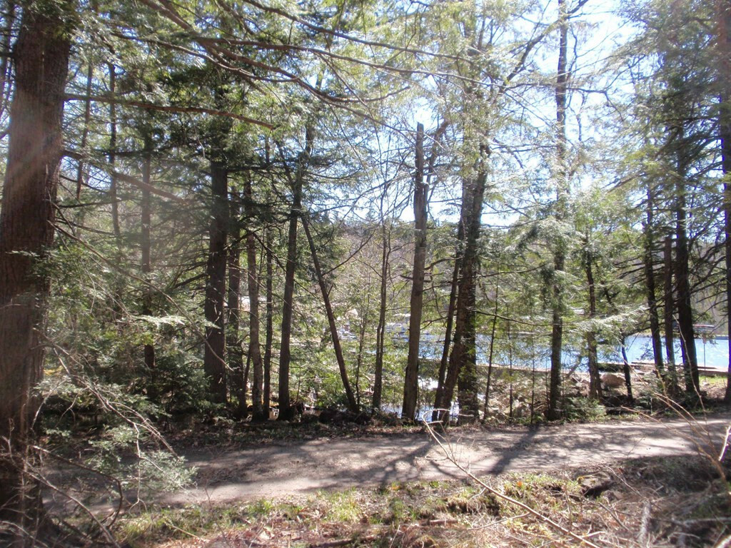 Property Photo:  #3 Waterdam Drive  NY 12953 