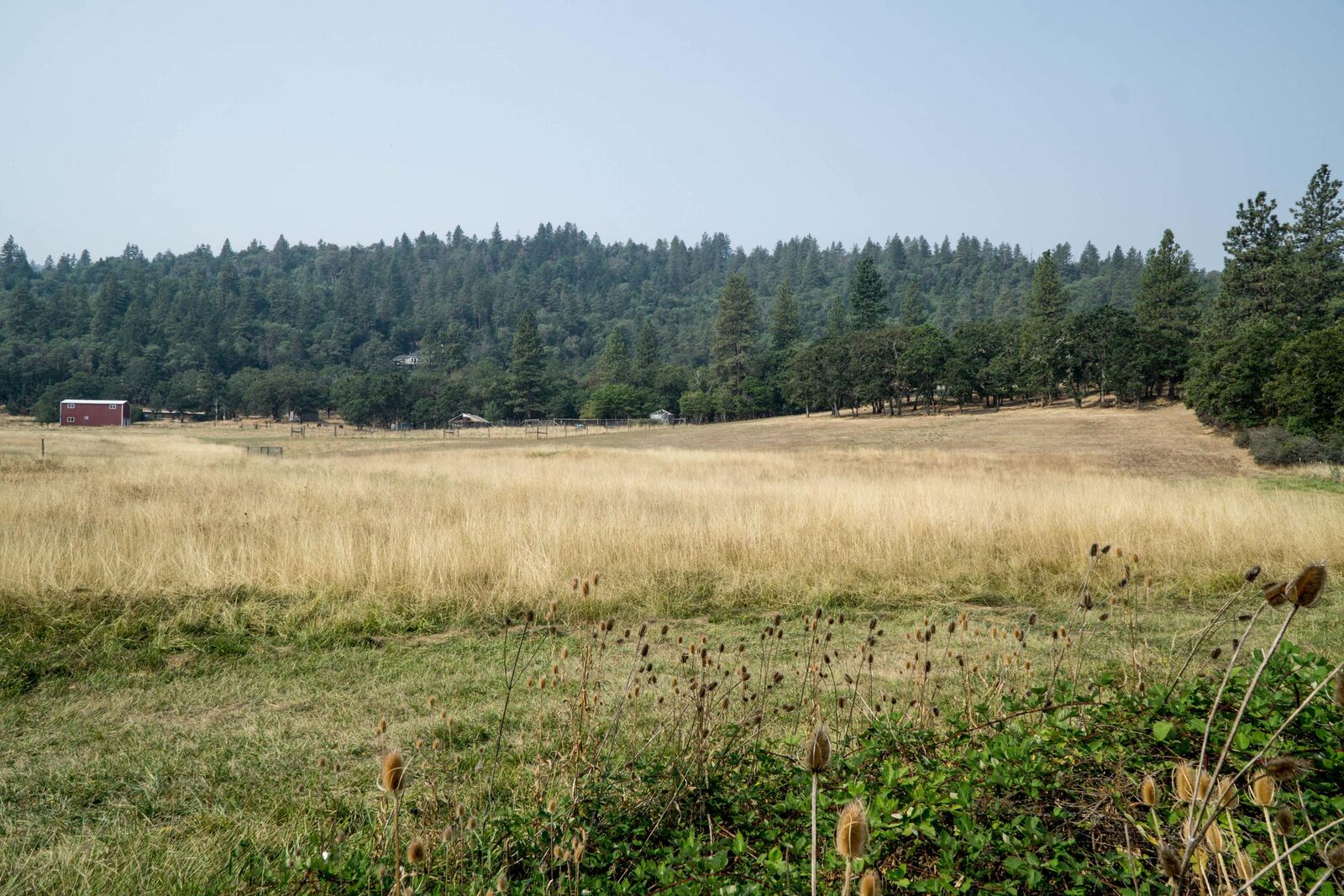 Property Photo: 3978 Griffin Creek Road OR 97501