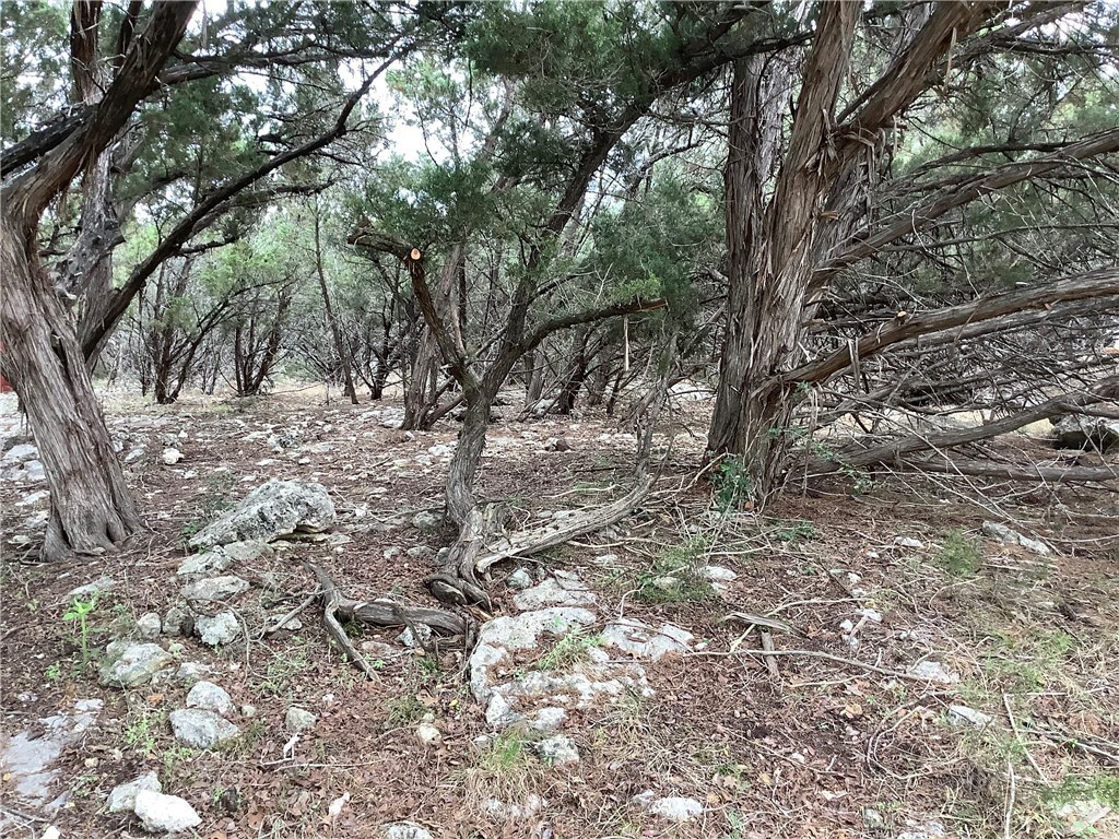 Property Photo: Tbd Lakewood Circle TX 78676