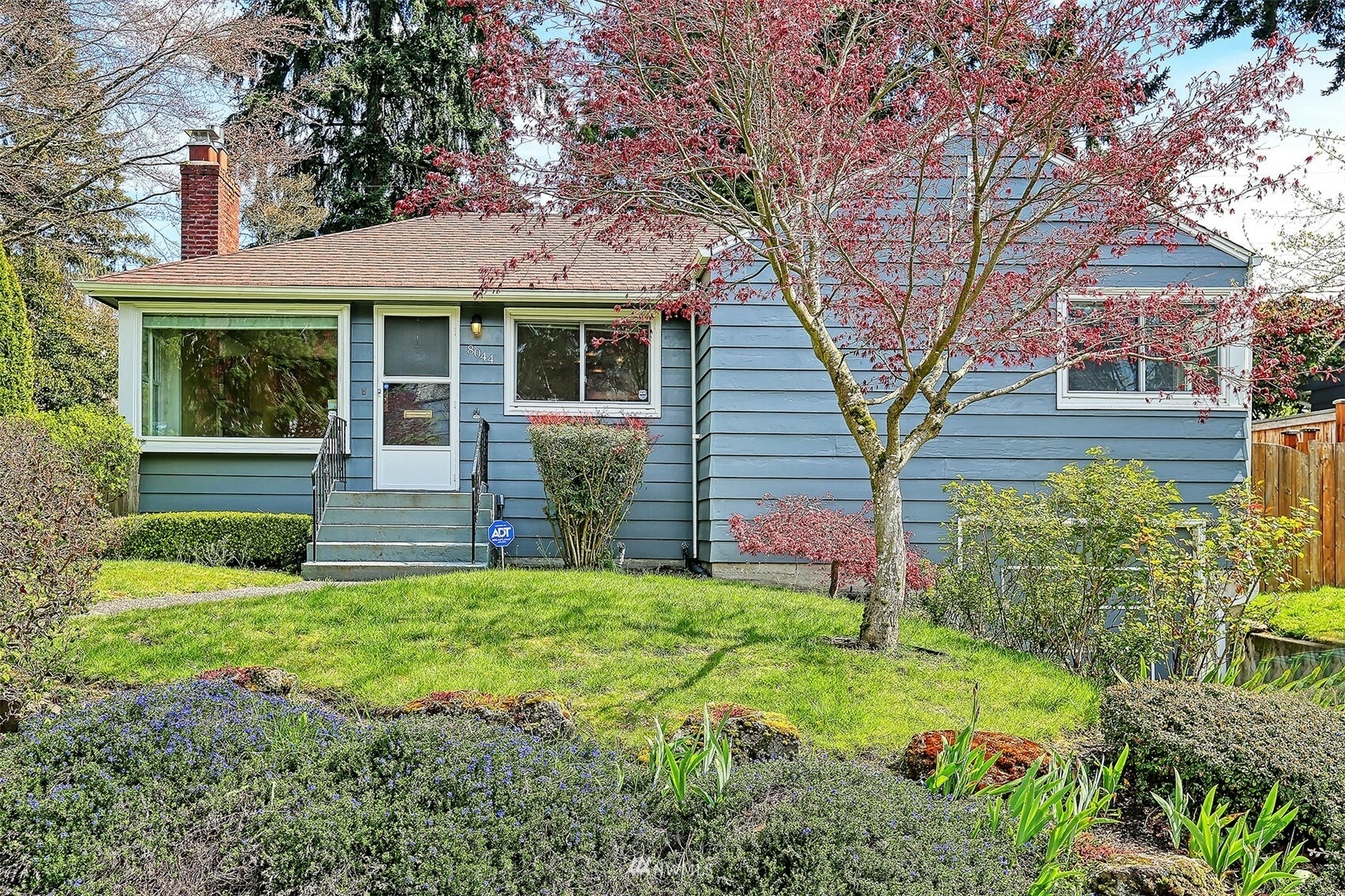 Property Photo:  8044 36th Avenue NE  WA 98115 