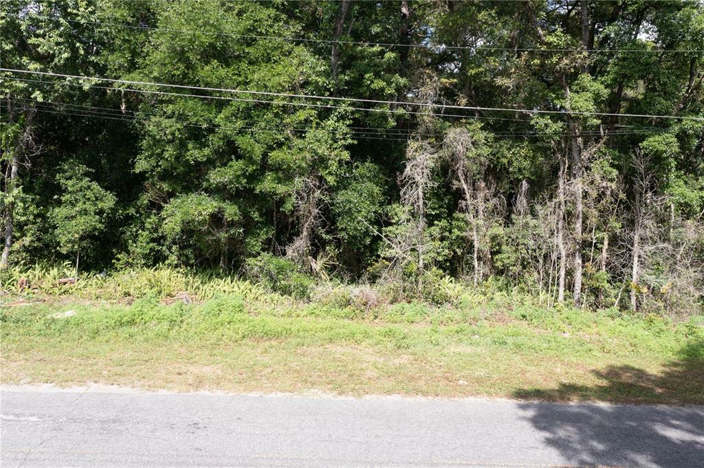 Property Photo:  Sackamaxon Drive  FL 32776 