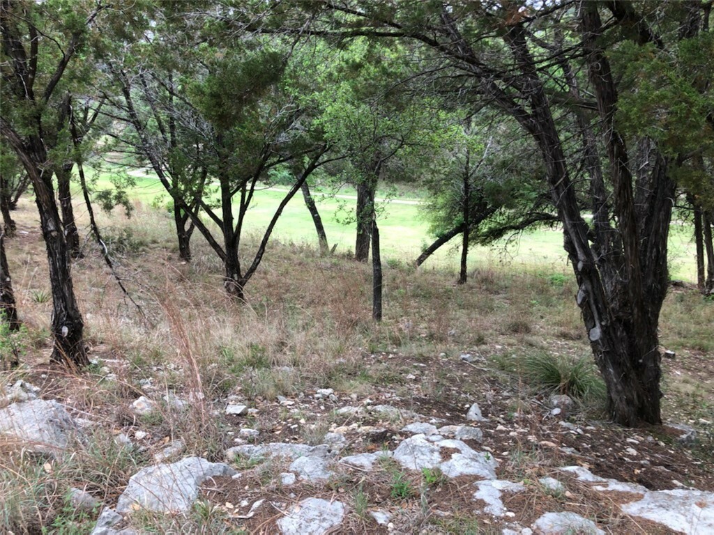 Property Photo:  20103 & 20104 Champlain Cove  TX 78645 