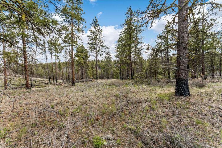 Property Photo: 0 George Garton Road WA 98816