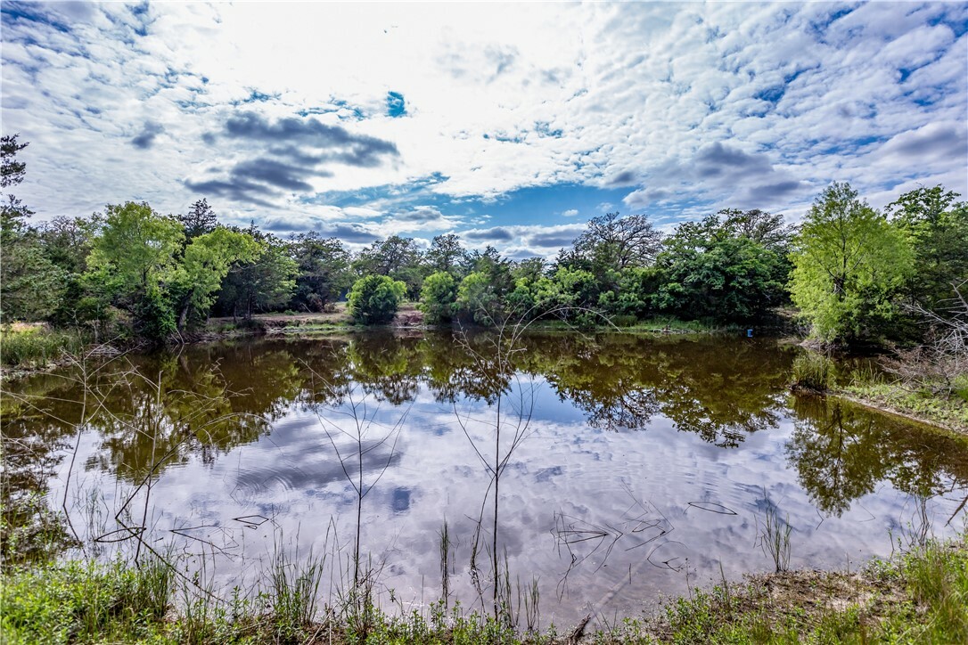 Property Photo: 10947 Roy Road Tract 1 TX 78941