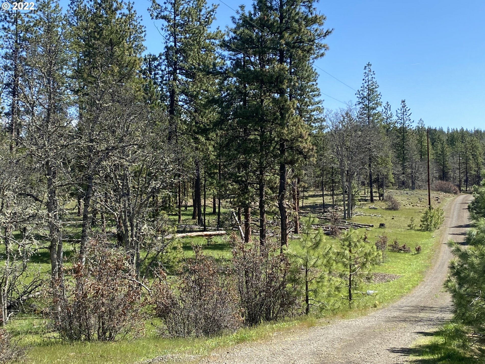 Property Photo:  15 Cold Hollow Rd  WA 98620 