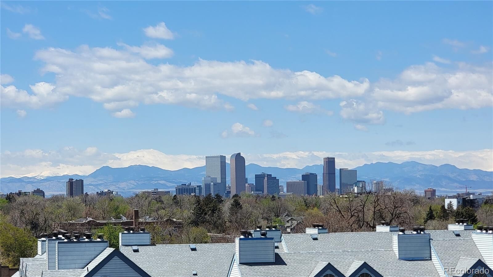 Property Photo: 1155 Ash Street 903 CO 80220