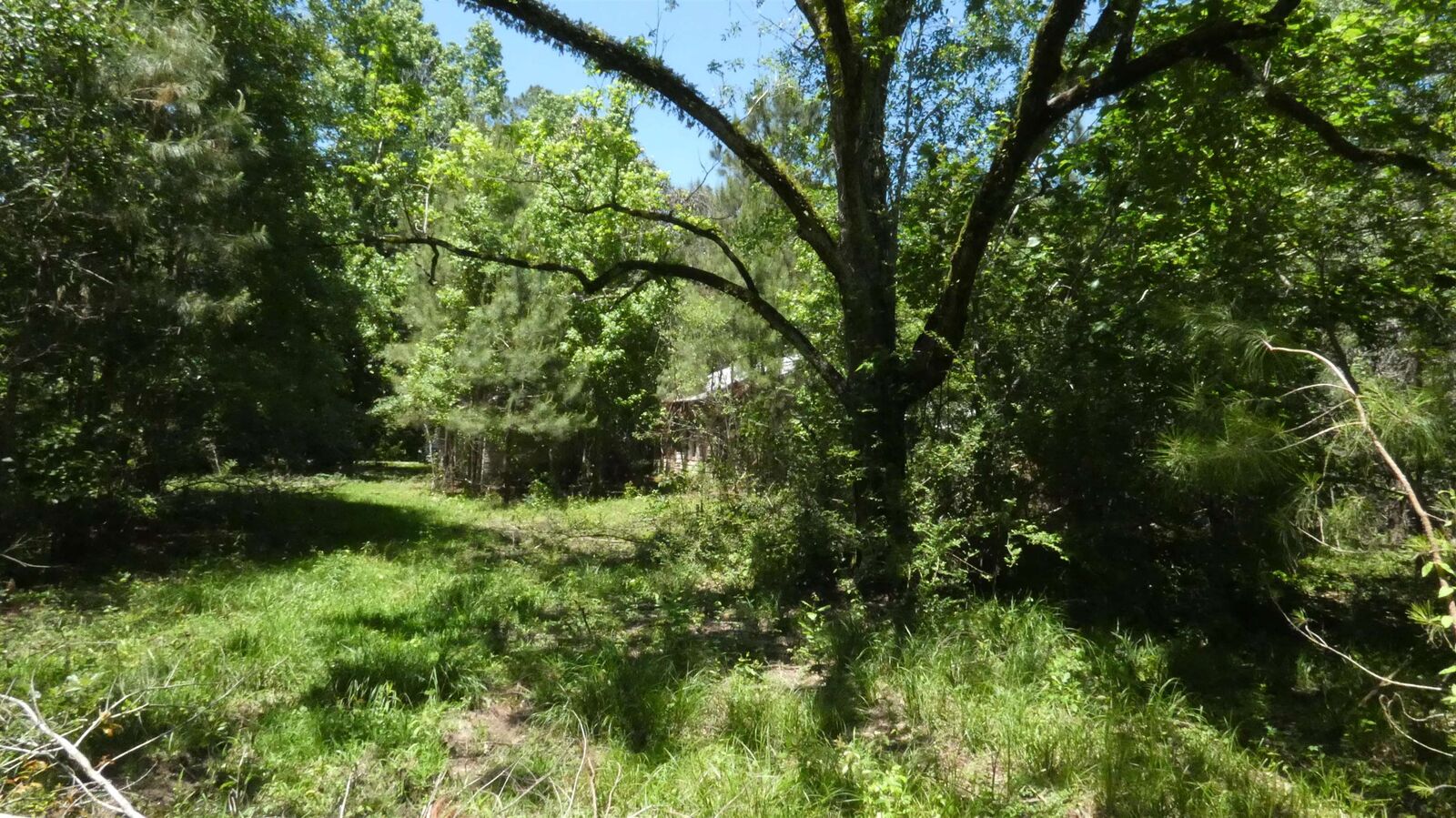 Property Photo:  333 Cr 835  TX 77612 