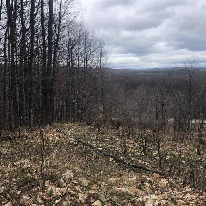3298 Needles Lot 12  Harbor Springs MI 49740 photo