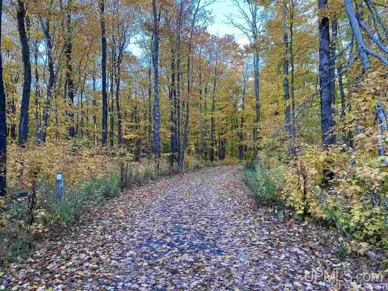 Tbd Redridge Creek Rd 12  Stanton MI 49905 photo