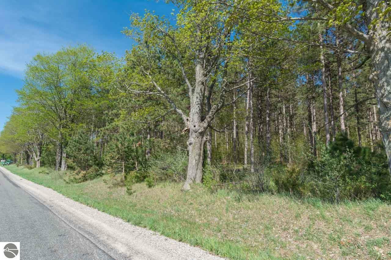 Property Photo:  Parcel 3 S Plowman Road  MI 49630 