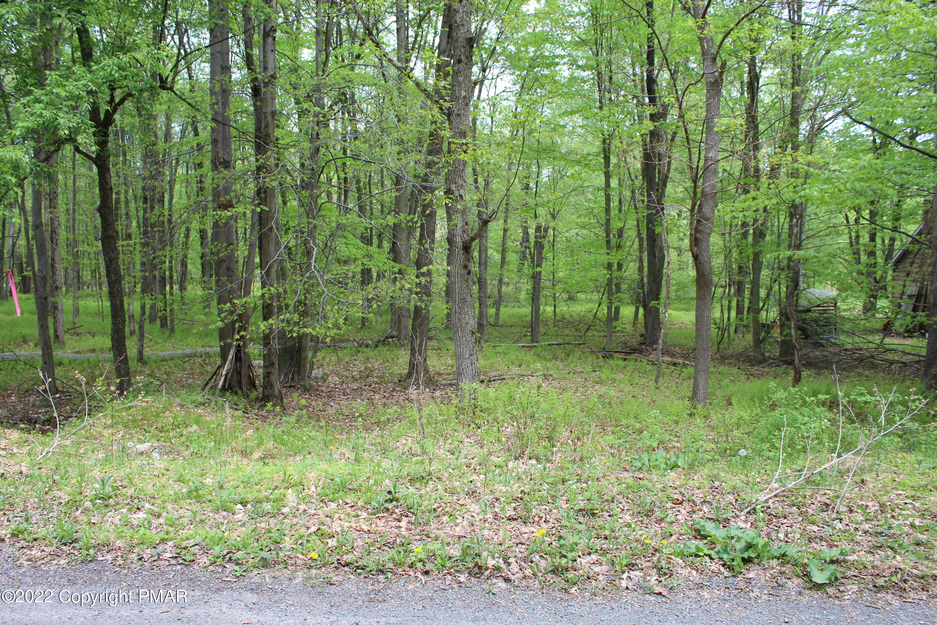 Property Photo: 176 Wolf Way Drive PA 18661